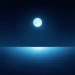 Inspiring the World, One Project at a Time for the man